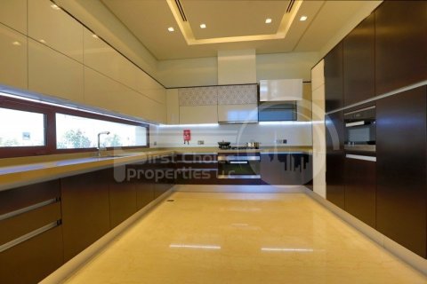 6 bedrooms Villa on the Saadiyat Island, UAE No. 12771 7