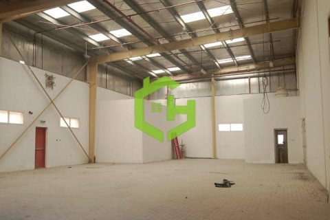 520.3مربع، مستودع في الخوانيج, الإمارات العربية المتحدة رقم 20745