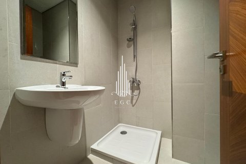 3 غرف نوم شقة في Tourist Club Area, الإمارات العربية المتحدة رقم 29156 24
