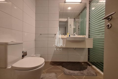 3 غرف نوم شقة في Tourist Club Area, الإمارات العربية المتحدة رقم 24622 28