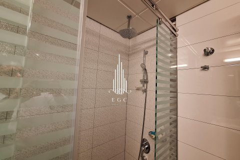 3 غرف نوم شقة في Tourist Club Area, الإمارات العربية المتحدة رقم 24622 23