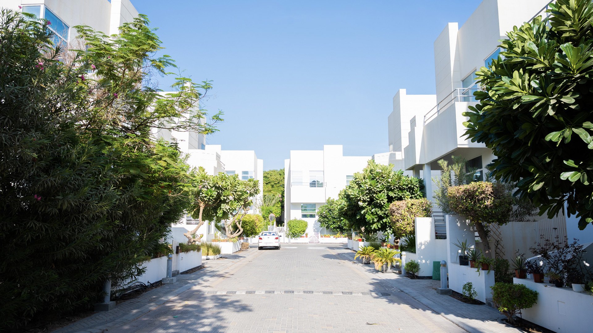 Farouk Garden