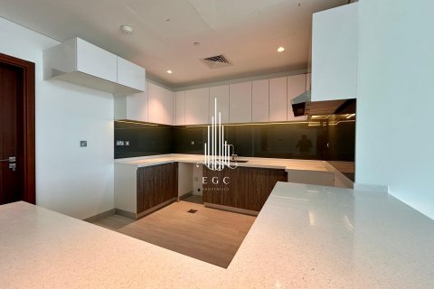 2 bedrooms Apartment in Tourist Club Area, UAE No. 25991 12