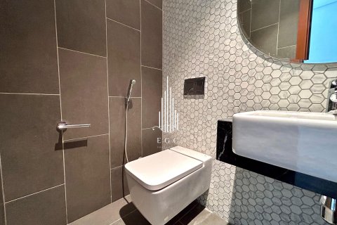 2 bedrooms Apartment in Tourist Club Area, UAE No. 25991 15