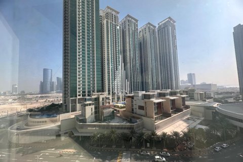 2 bedrooms Apartment in Al Reem Island, UAE No. 36778 31