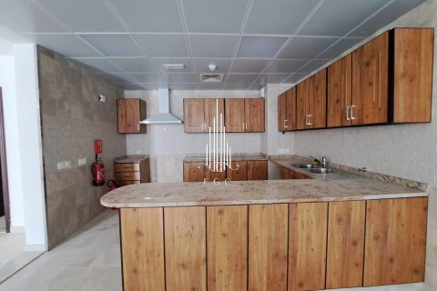3 bedrooms Villa in Airport Road, UAE No. 24623 5