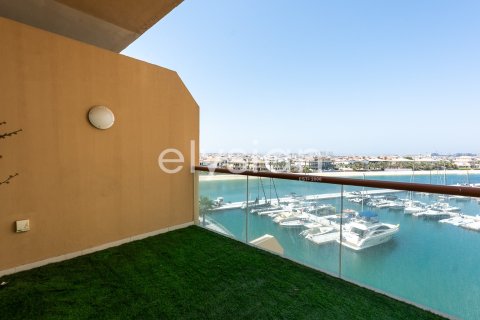 Studio Apartment in Palm Views, UAE No. 64748