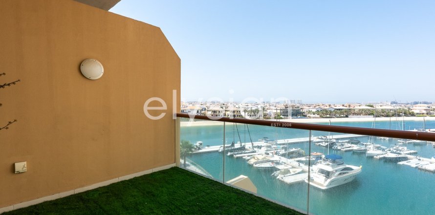 Studio Apartment in Palm Views, UAE No. 64748