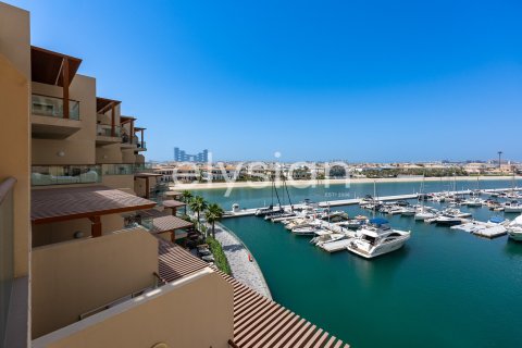 Studio Apartment in Palm Views, UAE No. 64748 11