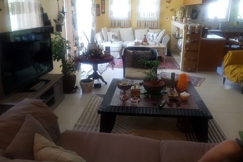5 bedrooms Villa in Regional, UAE No. 1014 5