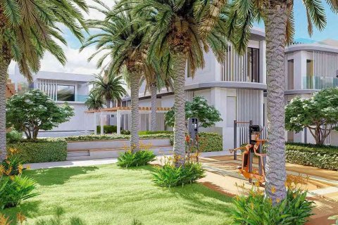 MURJAN AL SAADIYAT on the Saadiyat Island, UAE No. 70103