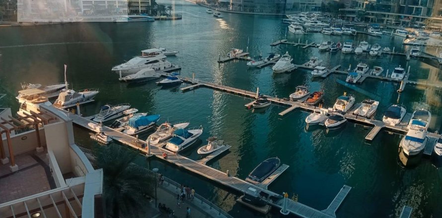 3 غرف نوم شقة في مرسى دبي, الإمارات العربية المتحدة رقم 44495