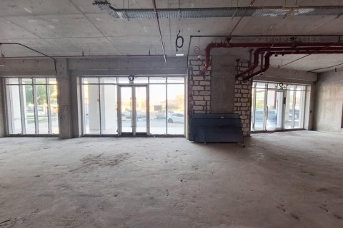 Коммерческая недвижимость 2694.2м² в Phase 2, ОАЭ №47645 8