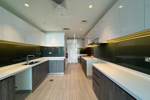 3 غرف نوم شقة في Tourist Club Area, الإمارات العربية المتحدة رقم 22916 7