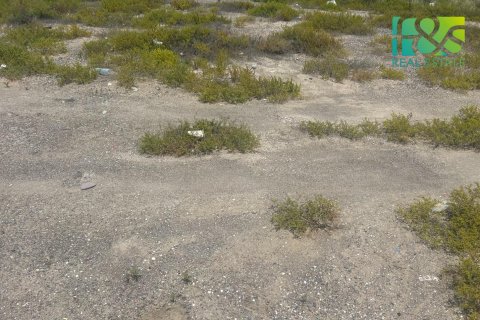 Земельный участок 650.4м² в Рас-эль-Хайма, ОАЭ №22732 5