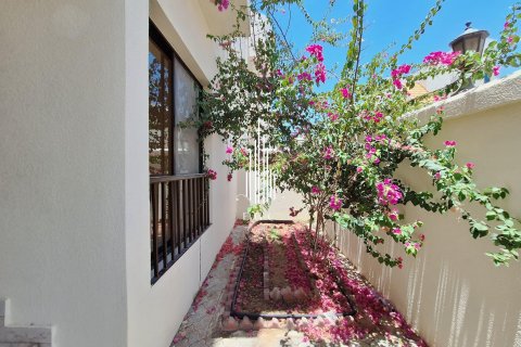 Villa de 4 chambres à Al Dhafrah, UAE No. 29187 31