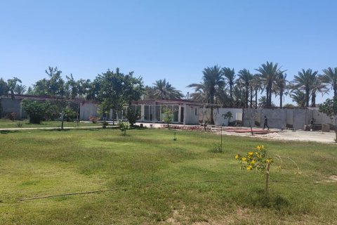 Villa de 8 chambres à Al Musannah, Oman No. 54658 5