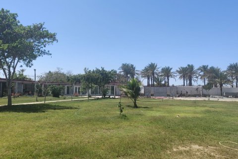 Villa de 8 chambres à Al Musannah, Oman No. 54658 6