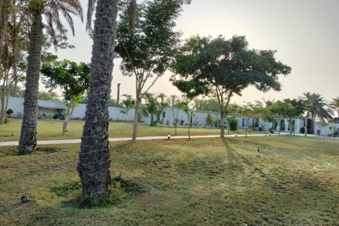 Villa de 8 chambres à Al Musannah, Oman No. 54658 4