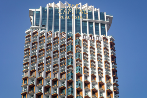 Studio Apartment in Dubai, UAE No. 7789 3