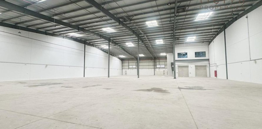 Warehouse de 5574.1m² à Jebel Ali, UAE No. 47680