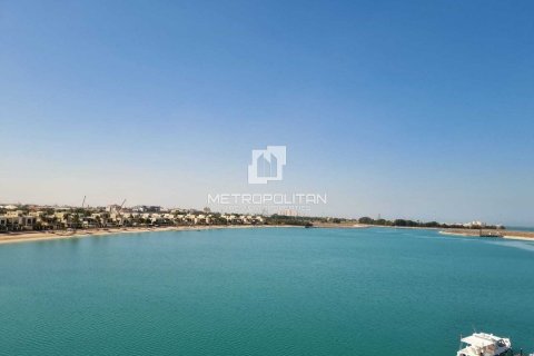 2 bedrooms Apartment in Mina Al Arab, UAE No. 20266 17