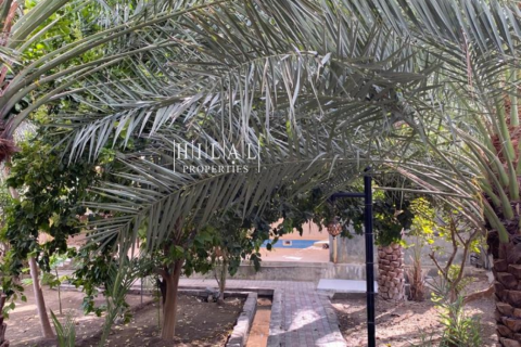 Villa de 4 chambres à Nizwa, Oman No. 54912 10