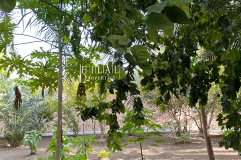 Villa de 4 chambres à Nizwa, Oman No. 54912 9