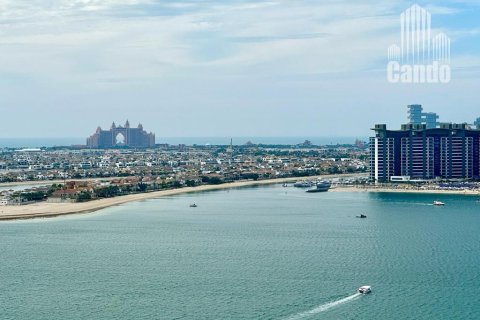 1 bedroom Apartment in EMAAR Beachfront, UAE No. 49901