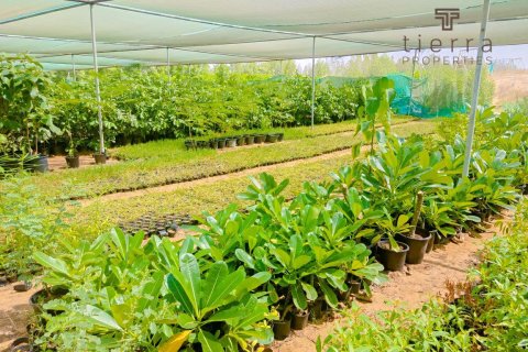 13935.3m² Land in Al Aweer, UAE No. 38866