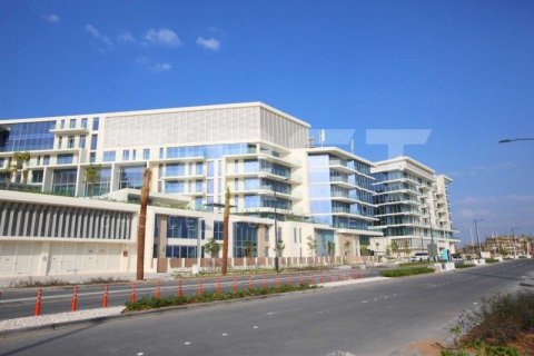 Appartement de 3 chambres à Saadiyat Island, UAE No. 12823 10